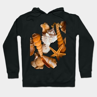 Holiday Summer Beach Sea Shells Starfish Hoodie